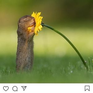 Meet your Posher, Susan